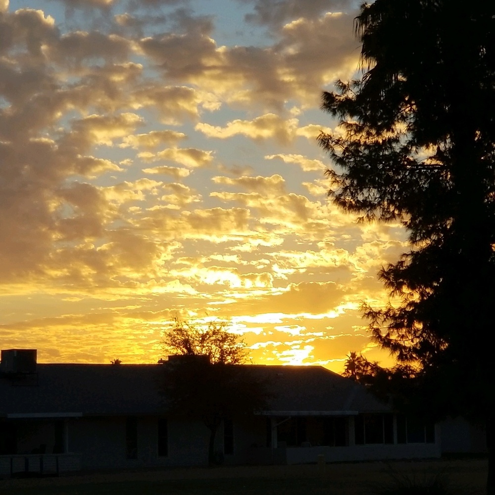 Meet your Posher, Cheri